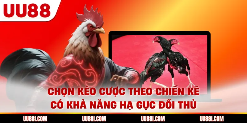 Chọn kèo cược theo chiến kê có khả năng hạ gục đối thủ