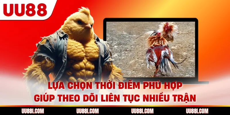 Lựa chọn thời điểm phù hợp giúp theo dõi liên tục nhiều trận