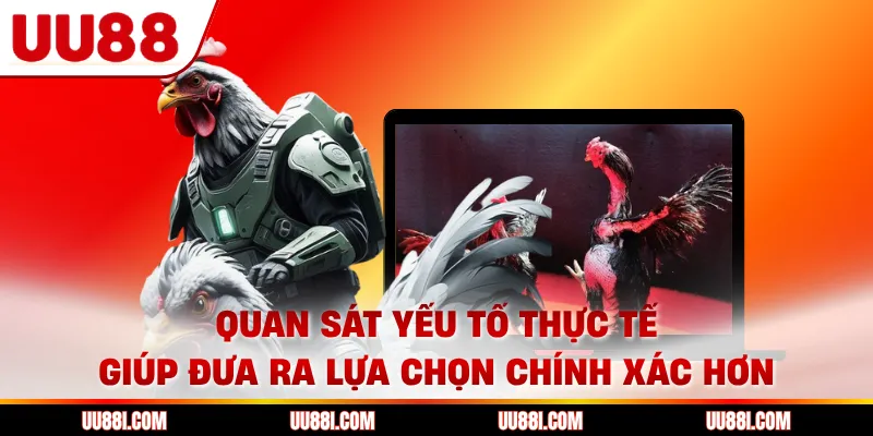 Quan sát yếu tố thực tế giúp đưa ra lựa chọn chính xác hơn